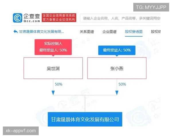 中立球规则详解：判定条件与比赛执行流程解析